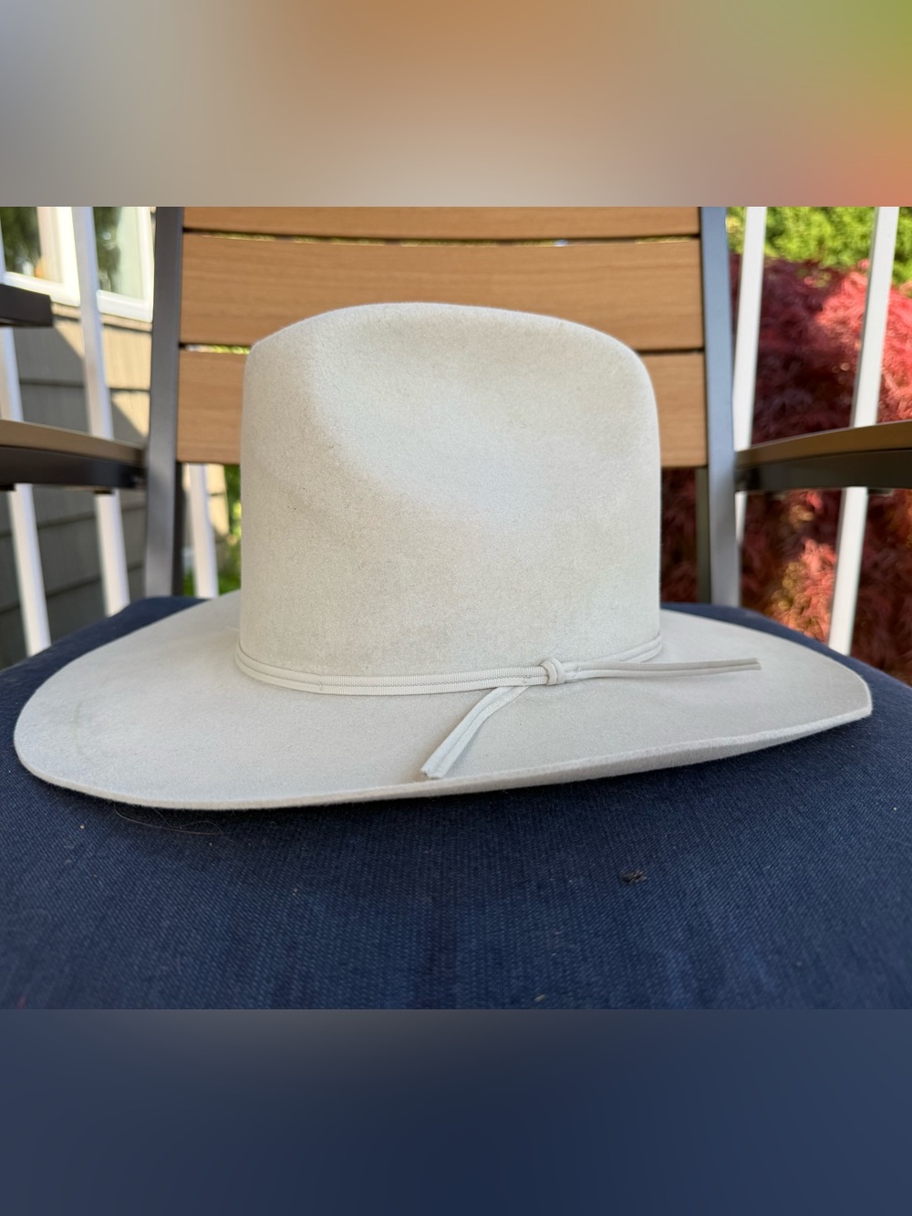 Resistol Western Silverbelly QH60 4x Beaver Cowboy Hat 6 7/8